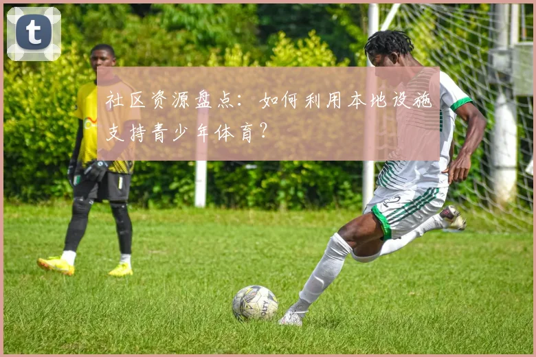 社区资源盘点:如何利用本地设施支持青少年体育?